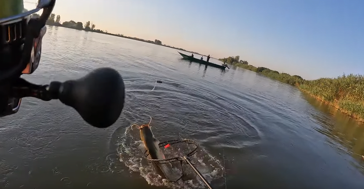 Рыбалка на сома. Рыбалка в России